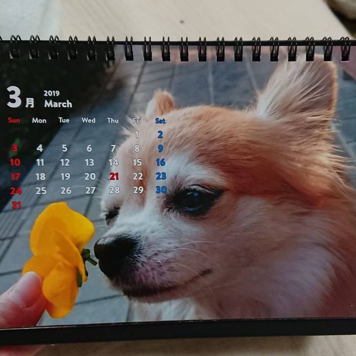 5bf3dd2a 345e 403e a6e2 fbe16cfffae5 1551447641877