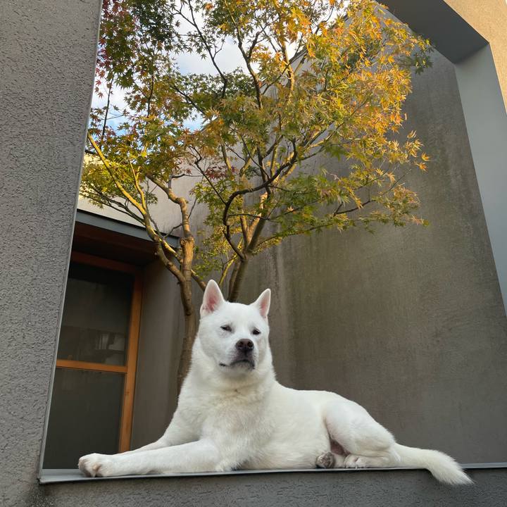 5bf3f477 eb92 4c12 a15f ee4c278e902a 1700647339609