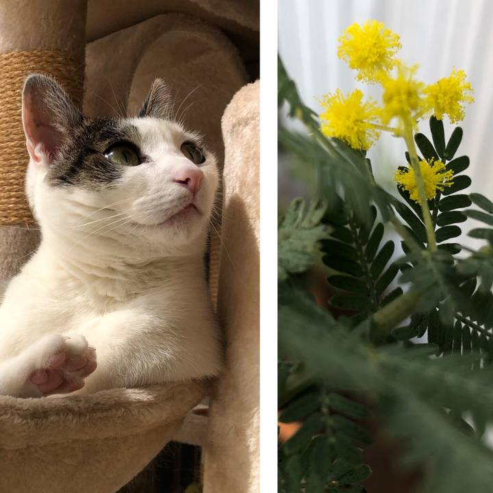 5bf40276 7002 4e81 8ef9 77da59b5081e 1710847912236