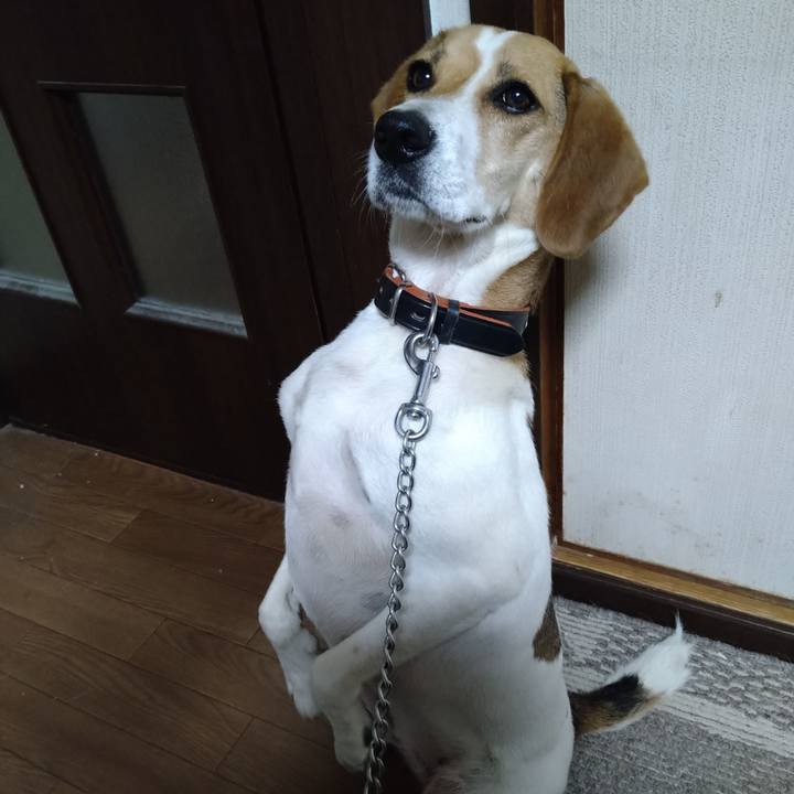 5bf412ee bde9 4f97 958b 5c7ebd5bd707 1626074590744