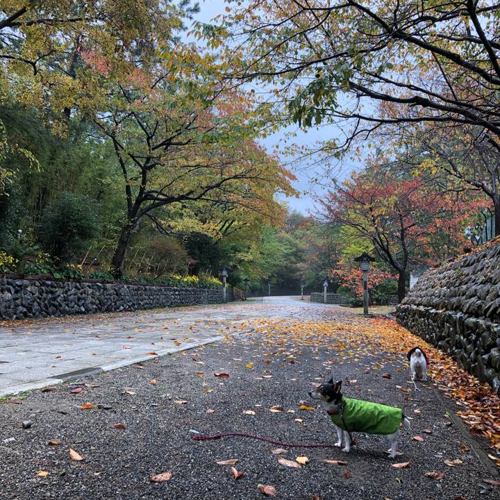 5bf42497 6775 4b00 b4da 42791b6e5cd2 1541807544059