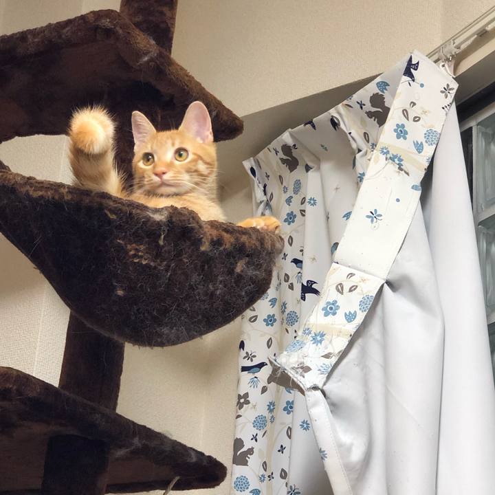 5bf446ea 074c 4af1 a919 05af0ee095e5 1572443674798