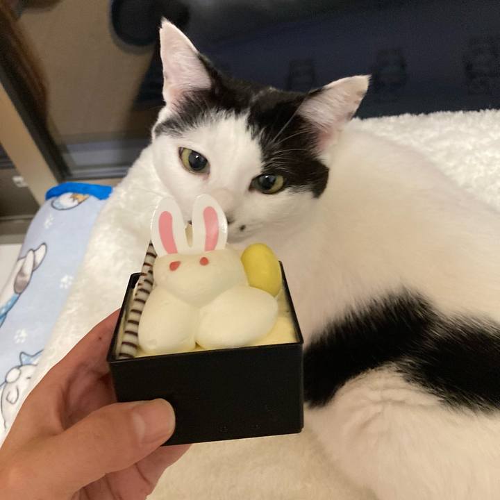 5bf447e2 021f 499f ae9e 1465b9b3c11f 1759752911498