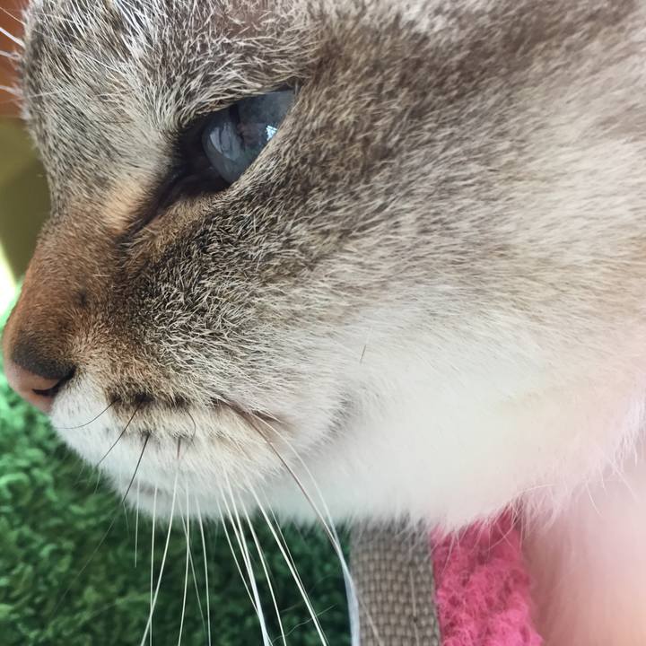 5bf471de 4d9e 4b67 83a6 55cfe5fa0724 1556793735326