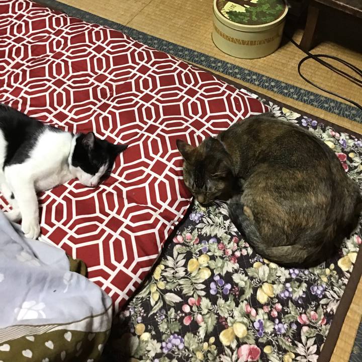 5bf49d3b 6793 4e27 b6bd 3b8c639e1aad 1634984524848