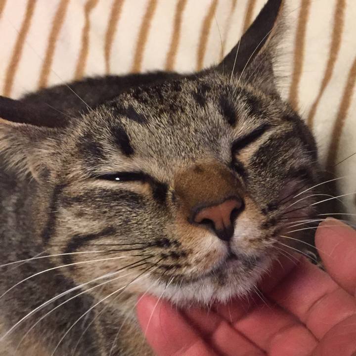 5bf4b60f 7f03 4392 bb0f 719738187d5e 1509713924289