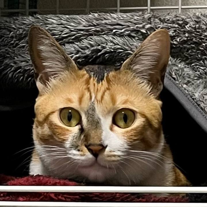 5bf58e59 4906 4e1a 87a6 43496b723f0d 1705823992195