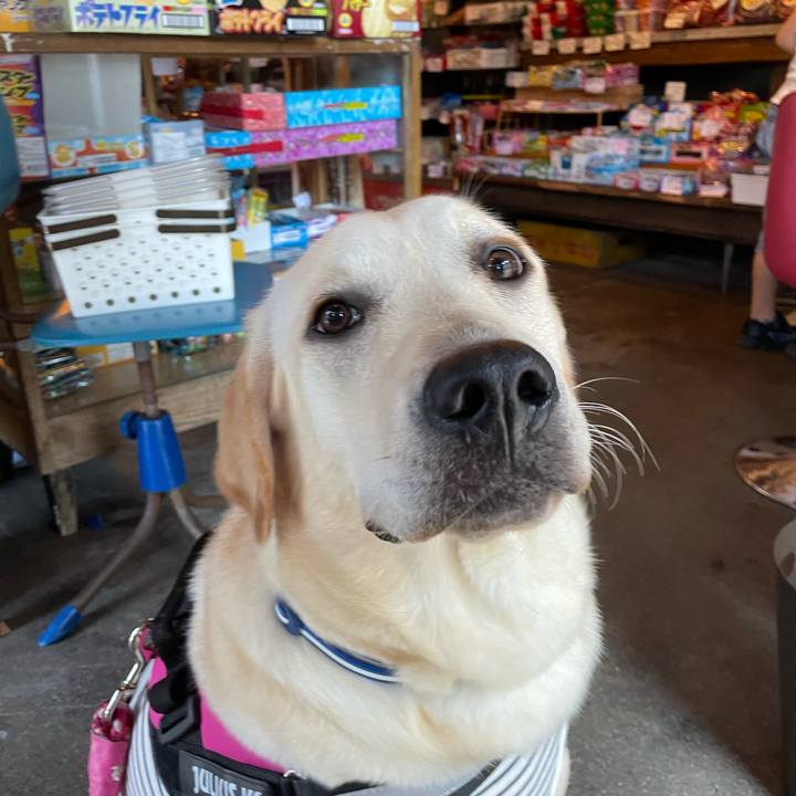 5bf5ca2a bdba 4845 9f23 f836e9231236 1628136147145