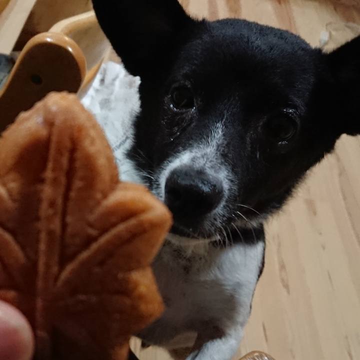 5bf61022 be98 414d bc38 eb2376f0583b 1572005346929