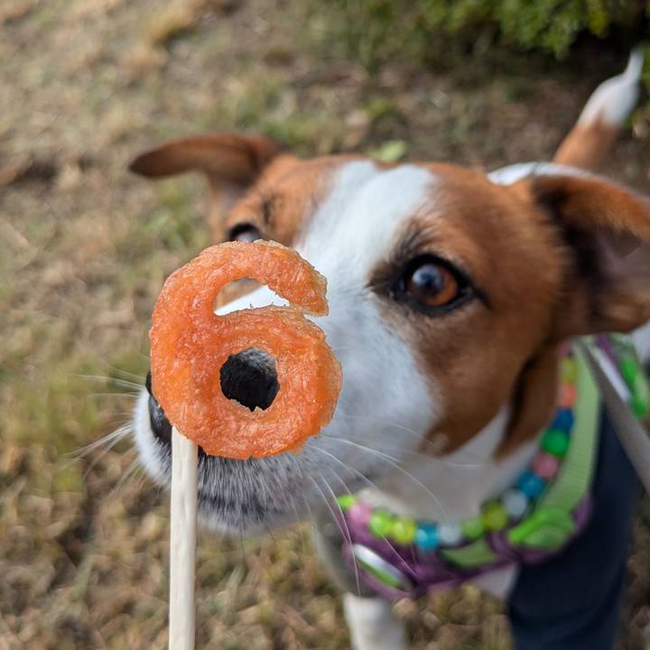 5bf6399a a66f 437b a6c3 14c908367f78 1732345020481