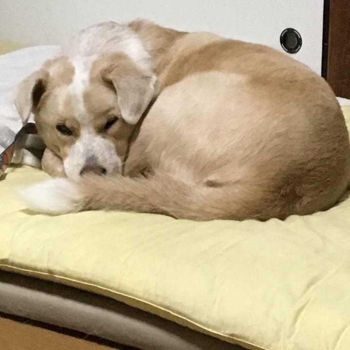 5bf66e58 1741 4909 80ac fd4d040f005d 1539185731433