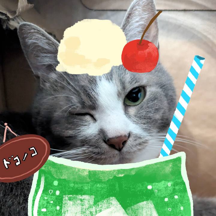 5bf6a07a daf2 4435 964b 7b14a6505c3c 1755058100625