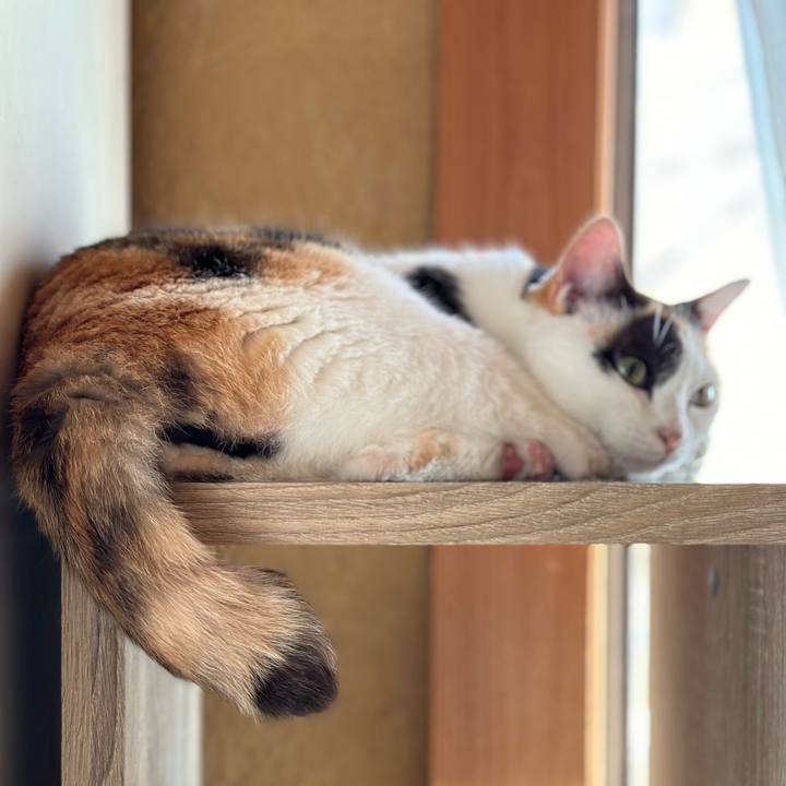 5bf6cff4 3b99 44fb ae21 c2652e8e4870 1727657732814