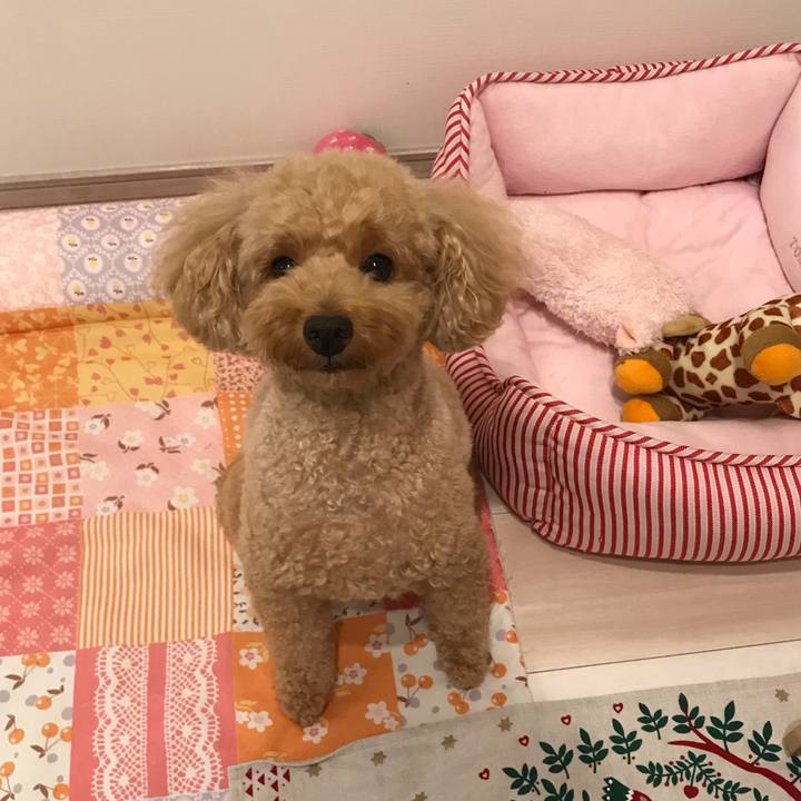 5bf6e087 7547 4cb1 8dcf 27082611f744 1570184119731