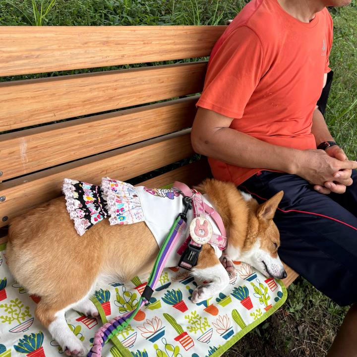 5bf72153 5e91 4a9e 801b 0caf765ef23f 1759639267849