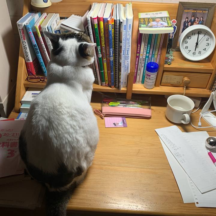 5bf73635 35a4 4799 89b5 c504c46370ad 1641089862893