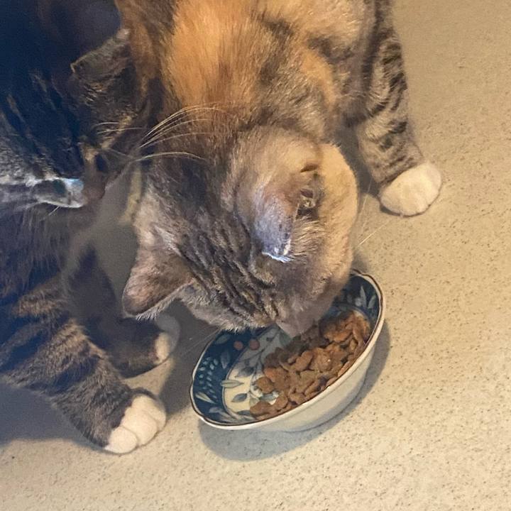 5bf75f6c e09c 47f3 9274 d963e0714aa9 1738985270736