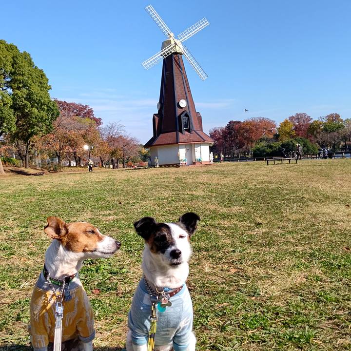 5bf7601f 88d1 46c5 962f 9988ac181db0 1668820250967