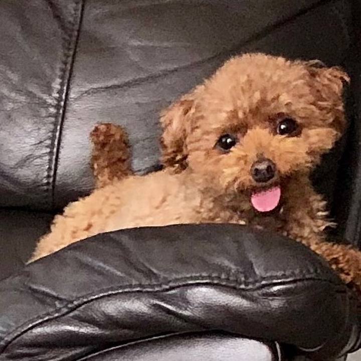 5bf7bcc4 58a4 4620 bb8d fdbb76349972 1557911618826