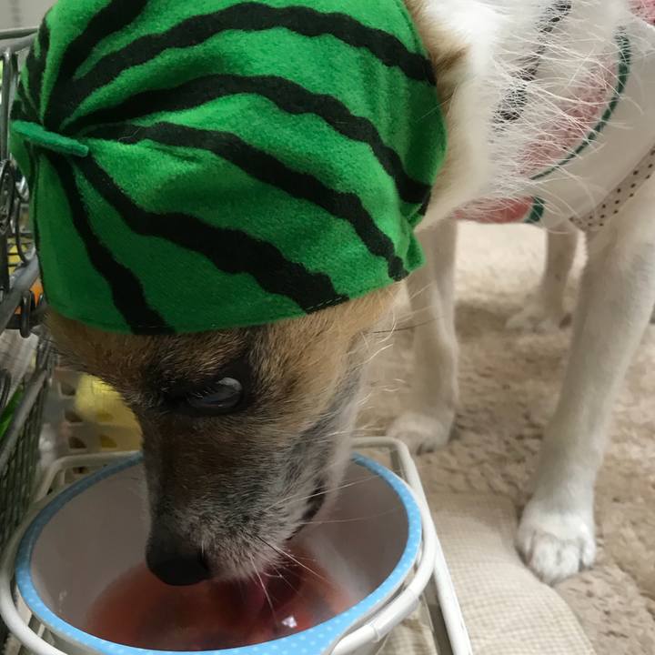 5bf7d3c7 31c7 44e9 87a6 8d52ff99aecc 1532057315979