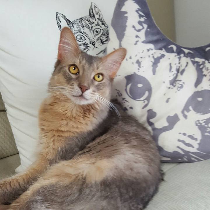 5bf7e324 5aaa 4f97 871b 16b878c28853 1562648402892