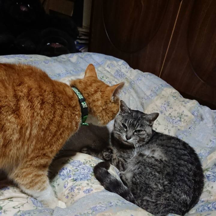 5bf7e6d6 9b4b 47c1 acee c2fea206f5e1 1583667222147