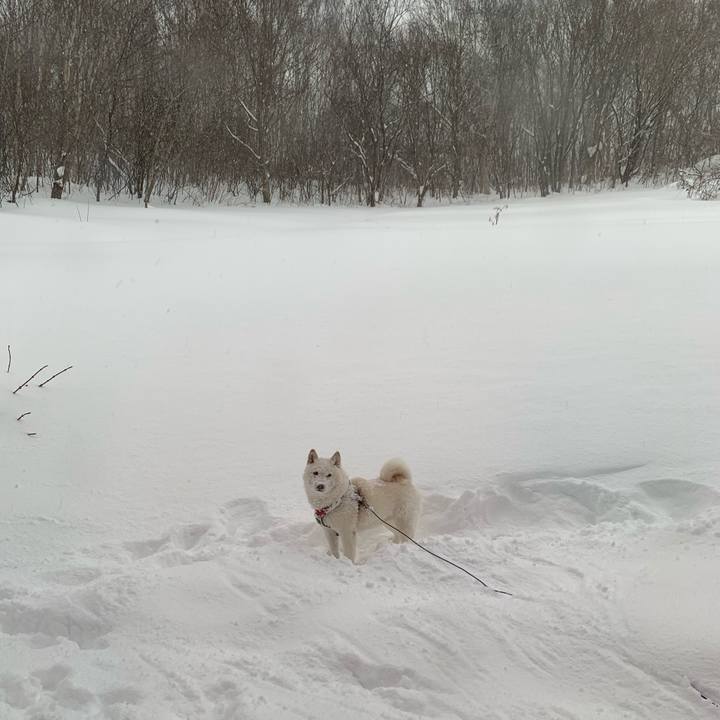 5bf7f07c ce78 4965 847a 17953285eccd 1641085279868