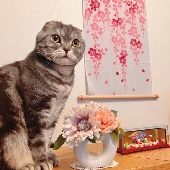 5bf81096 9d3f 4d10 b57c 6b185671a261 1677843124910