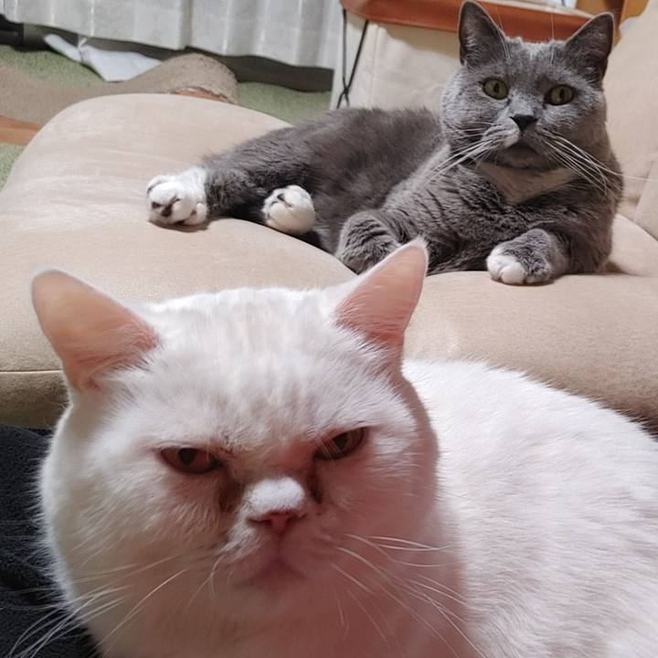 5bf8815f 1b13 425a 9fa5 8cd571e6b974 1707732986235