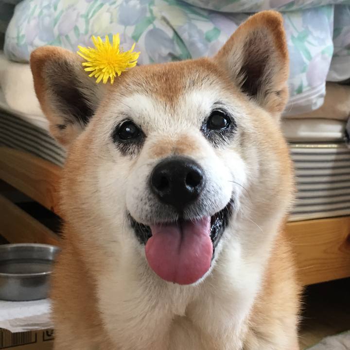 5bf891df f3ab 49ed aaf3 80d90fb6b1e3 1555633658021