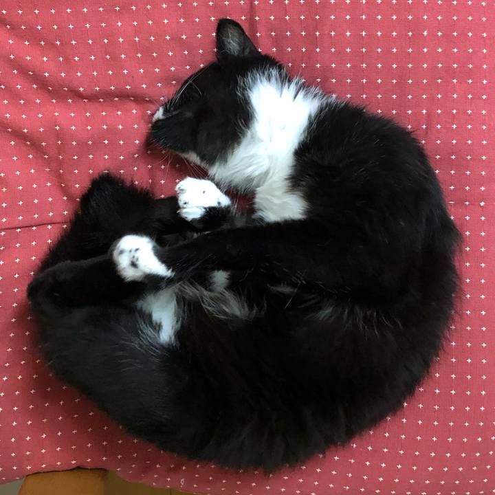 5bf8d96f ebcc 4463 bf11 a99f6623780e 1626406198443