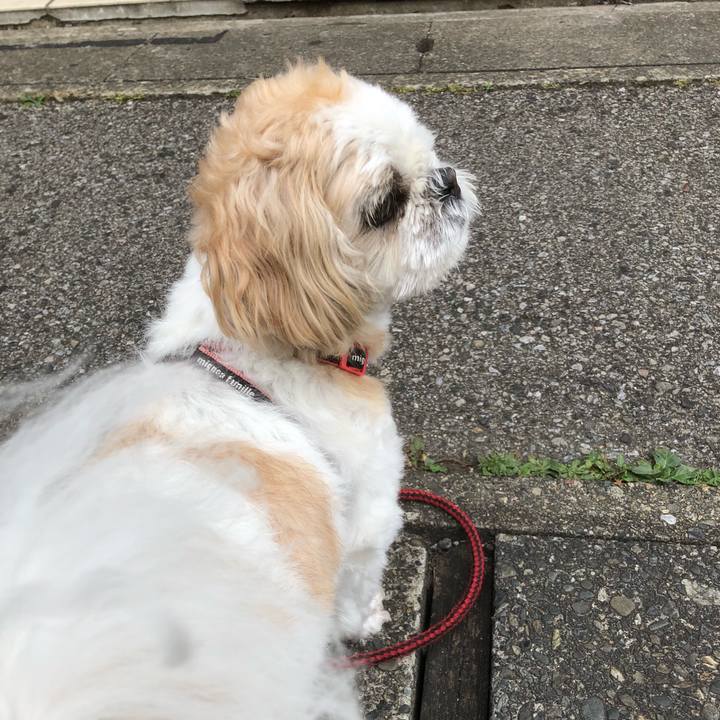 5bf91a9a 7f9e 4e4d b2d1 6616dda3f784 1626904056775