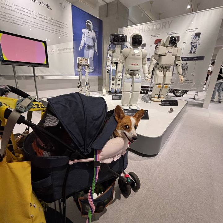 5bf95a1f f4d6 426a 8cae 53240fa0aae3 1759054307250