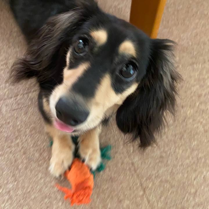 5bf97304 83c4 49fd 8a73 72541a138084 1684711837952