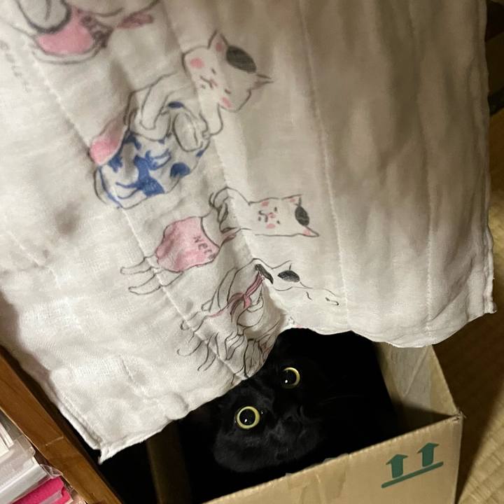 5bf97516 9be1 4317 b654 d63bbfce5e77 1690551611729