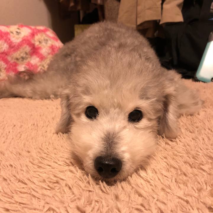 5bf98a5e a169 4ab4 ab45 b55cdcadd68e 1578830815311