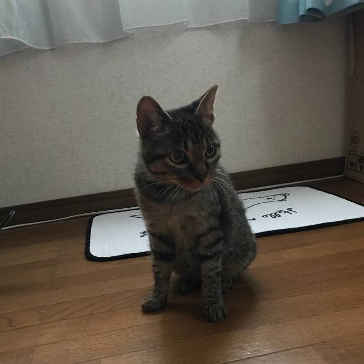 5bf9b228 2bb1 403a a523 4ec2a079473c 1538872601490