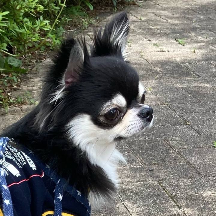 5bf9da1e 65b2 47d7 bf5b 8d88fa783d32 1651401685587