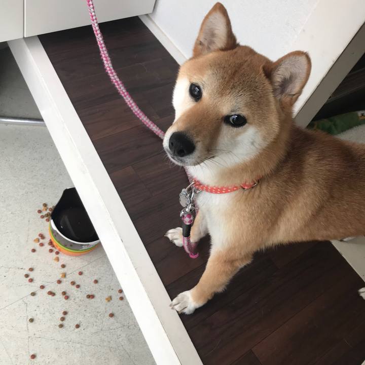 5bfa2047 d727 4b1f a4d6 73cb3b8cfcc8 1524754393681