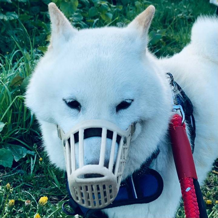 5bfa2aef 8342 455d a977 eece86536bb2 1652559837729