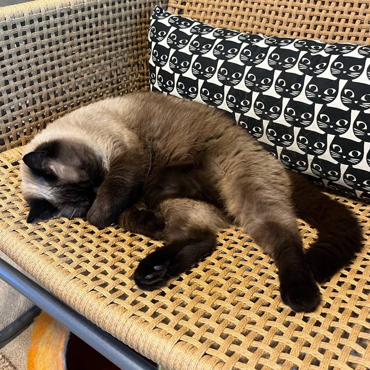 5bfa4c42 ebdc 49e4 9ac3 2fd48823f44c 1660553037370