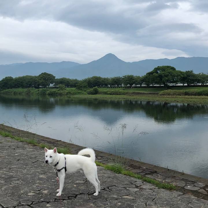 5bfa851b 7e45 4f17 b370 62d4b2c44199 1561519941968