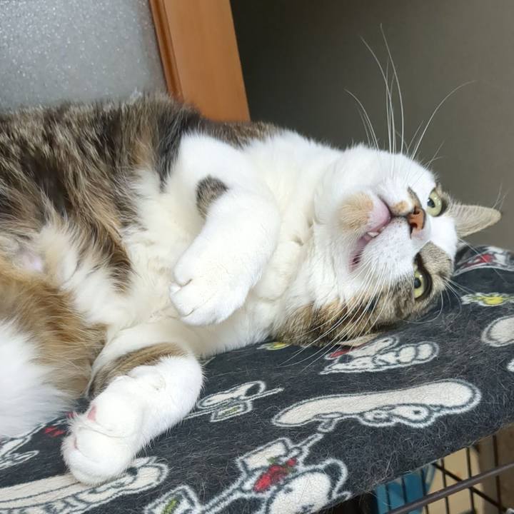 5bfac568 c0b4 4be8 9eed 8b40c69c055b 1767700405555