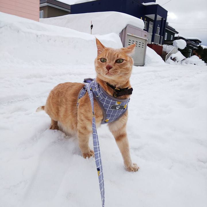 5bfb0bea 0896 44dd be61 6c0804662148 1646624254173