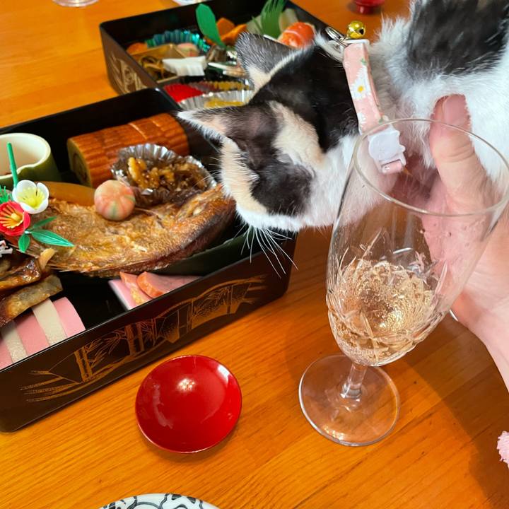 5bfb276b 6f3d 4fb1 8992 ea2dbb859079 1672554808548