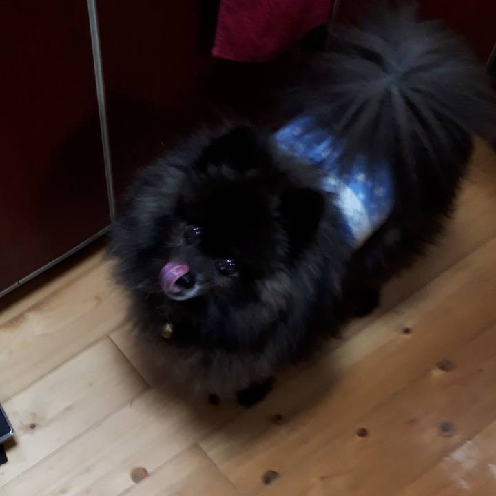 5bfb3381 ba4c 4be3 8f05 89e00461981f 1522009174225