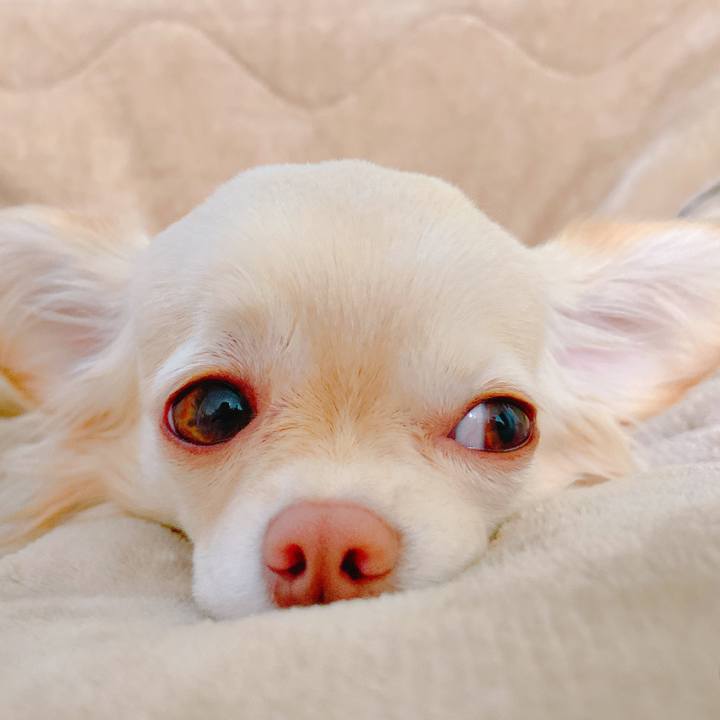 5bfb3fc8 7b0f 46d8 b4d4 ec9c9650caa2 1643149485536