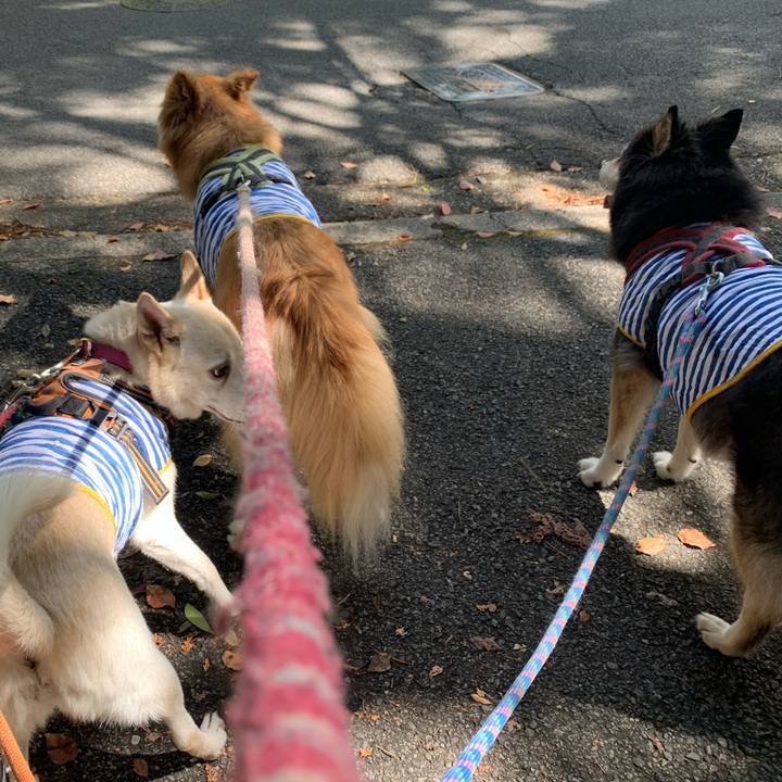 5bfb4f3a 1ae6 4607 9a27 df19244b8a2c 1599270892135