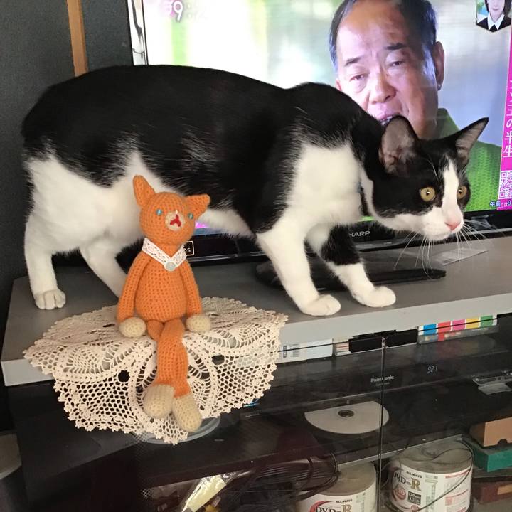 5bfb875f 08ab 4945 b1dc 03186b29776e 1634257664742