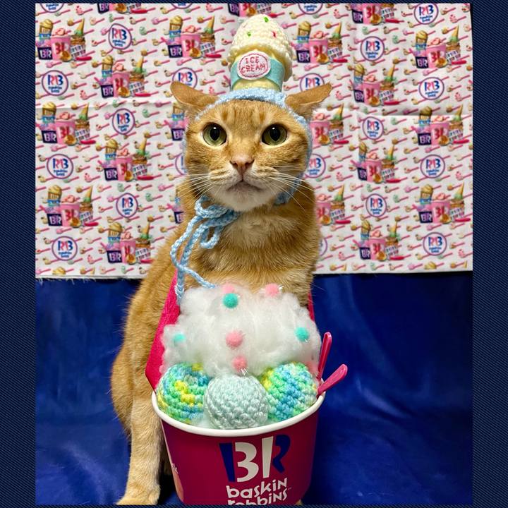 5bfbbc8e 8561 4262 89fa 526d147b4143 1719615228706